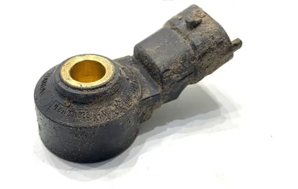 Porsche Panamera (970) Detonation knock sensor 0261231322