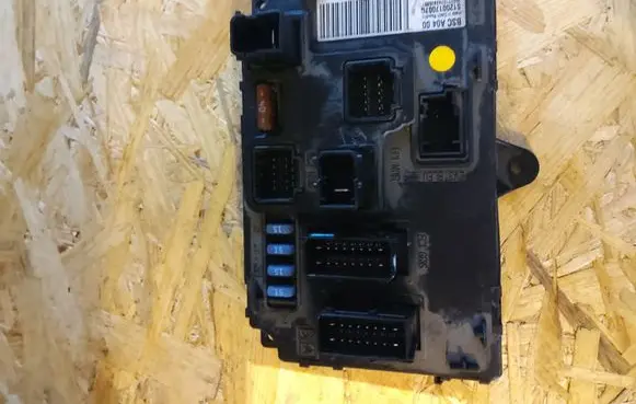 Peugeot 407 Fuse module S120017001G