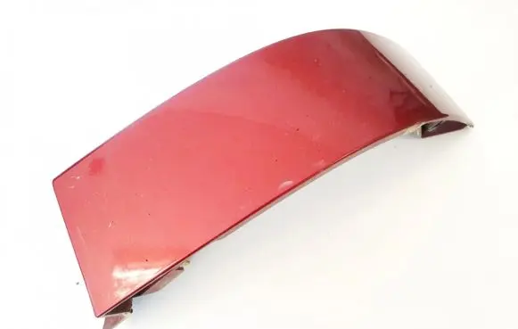 Rear/tail light trim molding