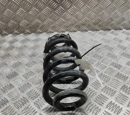 Skoda Enyaq iV Rear coil spring 1EA511103J