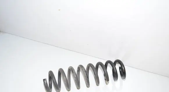 Rear coil spring