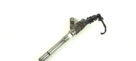 Hyundai Santa Fe Fuel injector 0445110254 3380027800