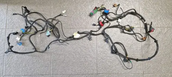 Fiat Ducato Other wiring loom 010100