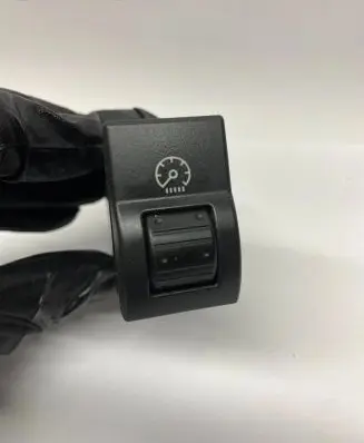Panel lighting control switch