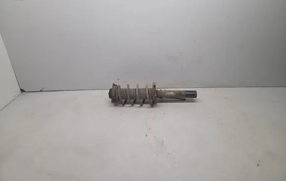 Volkswagen Golf V Front shock absorber/damper