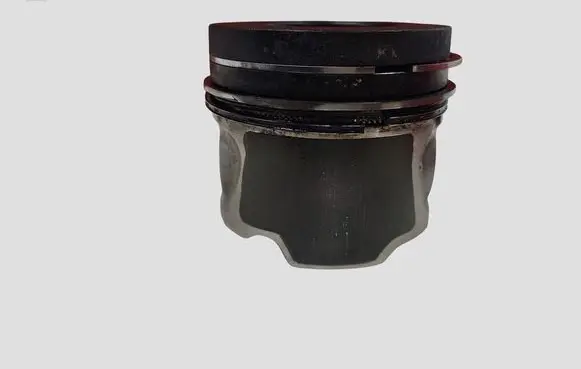 Opel Antara Piston