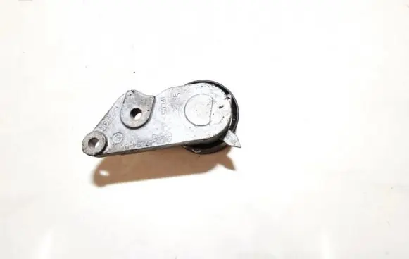 Ford Focus Slide rail for timing chain 4m5g6k254da