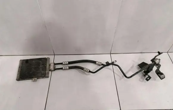 Mercedes-Benz S W220 Engine oil radiator A2155000000