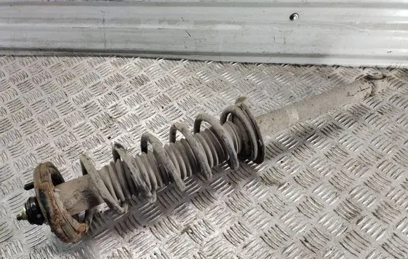 Rear shock absorber/damper