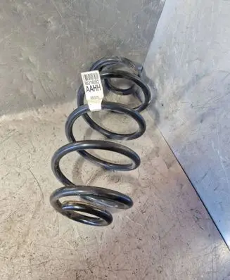 Chevrolet Aveo Rear coil spring 95216092 MJ25
