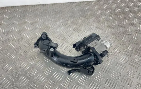 Peugeot 3008 II Throttle valve 9830171480