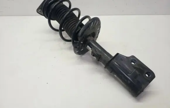 Opel Grandland X Front shock absorber/damper 9819718680
