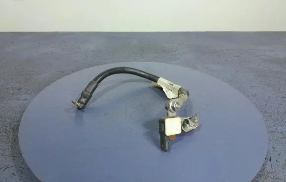Volvo S90, V90 Other wiring loom 31376758
