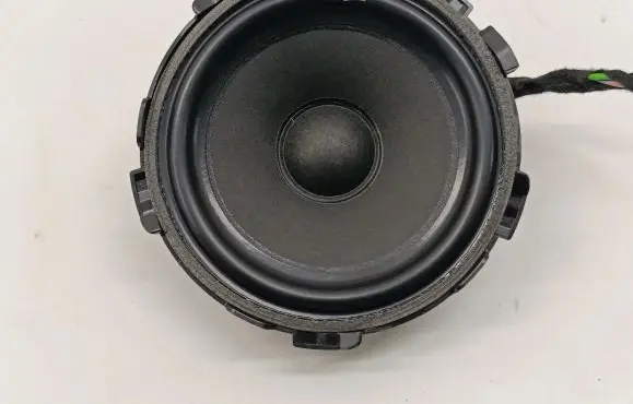 Rear door speaker