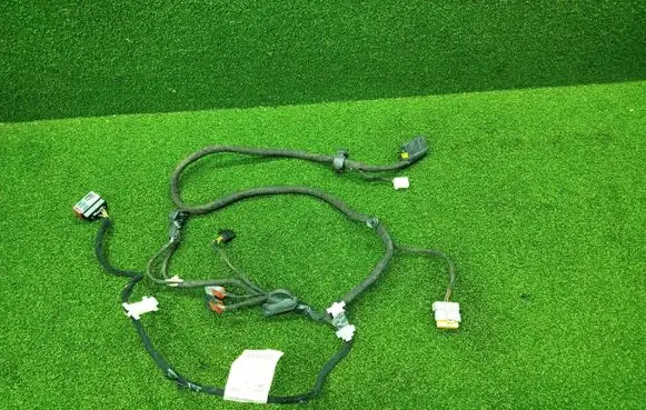 Citroen Jumper Front door wiring loom 1376571080 0137657108058463