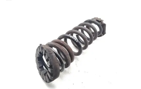 Rear coil spring