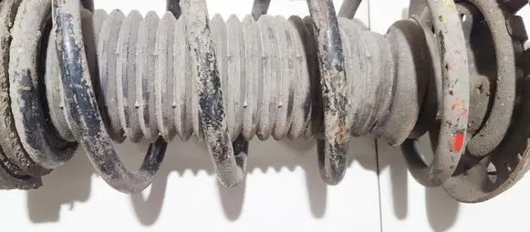 Seat Cordoba (6L) Front coil spring