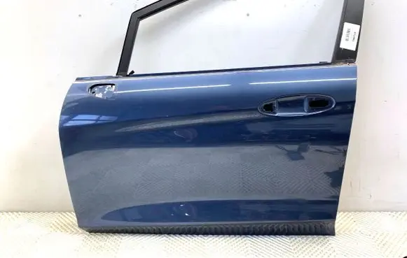 Ford Fiesta Front door 