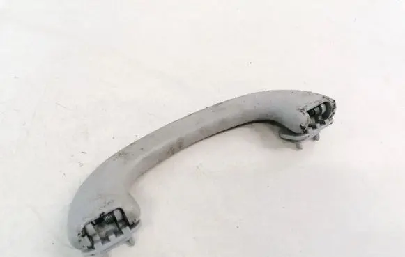 Ford Focus Front interior roof grab handle