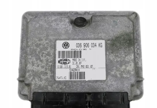 Volkswagen Polo IV 9N3 Engine control unit/module 036906034KG