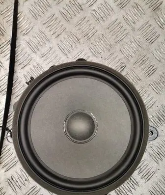 Tesla Model Y Front door speaker 107974400E