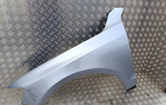 Fender