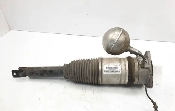 Volkswagen Phaeton Rear shock absorber/damper 3D0616001N