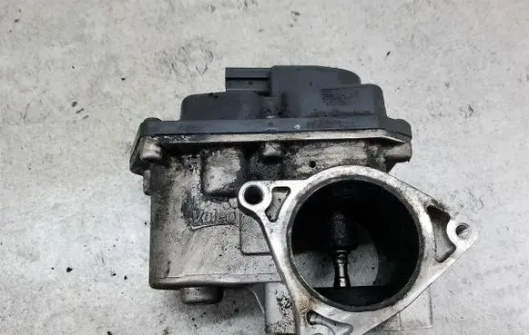 Seat Exeo (3R) EGR valve 03L131501G