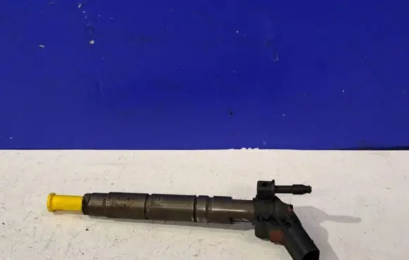 Mercedes-Benz S W221 Fuel injector A6420701387