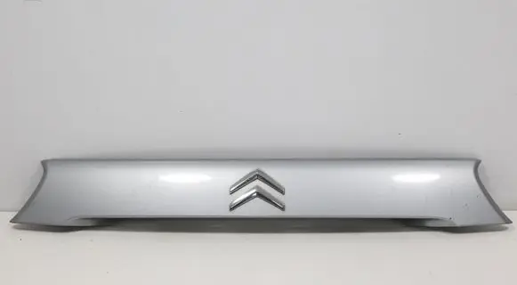 Trunk door license plate light bar