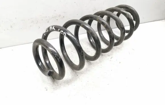 Volkswagen PASSAT B6 Rear coil spring
