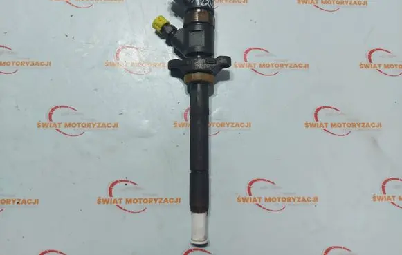 Citroen C4 I Picasso Fuel injector 0445110259