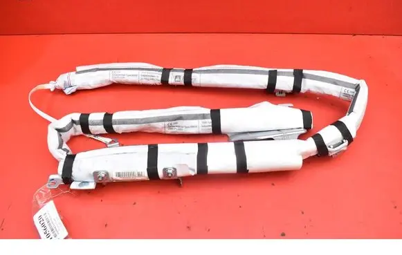 Nissan Leaf I (ZE0) Roof airbag 0589P10051