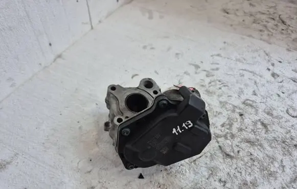 EGR valve