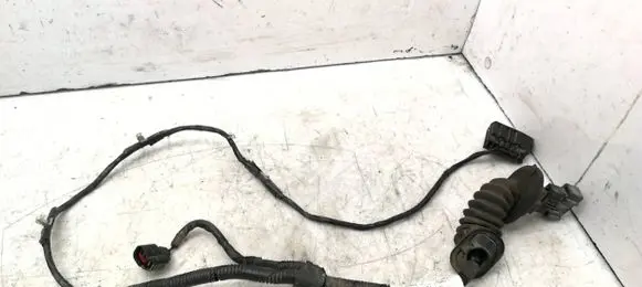 Front door wiring loom