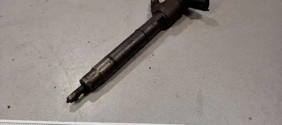KIA Picanto Fuel injector 0445110256 338002A400