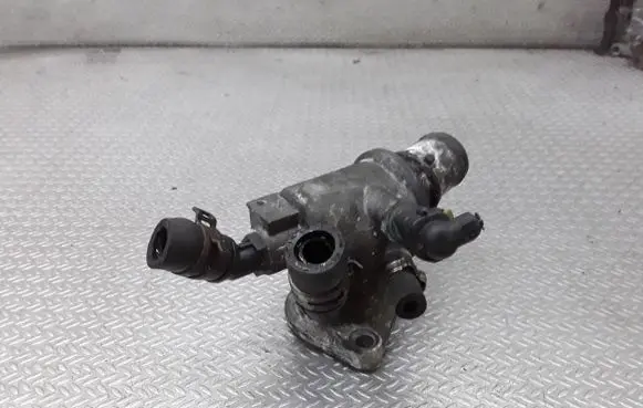 Thermostat/thermostat housing