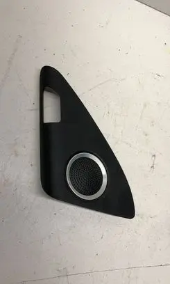 Side speaker trim/cover