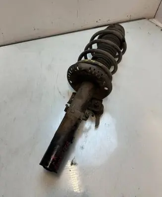 Skoda Roomster (5J) Front shock absorber with coil spring 4234234