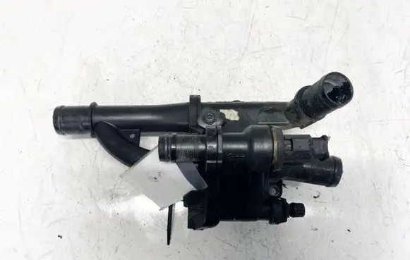 Citroen C3 Picasso Engine coolant pipe/hose 9670253780