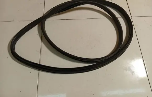 Renault Fluence Rubber seal front coupe door 