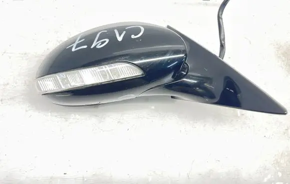 Mercedes-Benz CLS C219 Front door electric wing mirror 454216