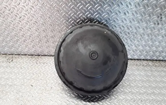 Renault Espace III Oil filter cover 