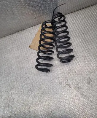 Dacia Spring Rear coil spring 550200356R
