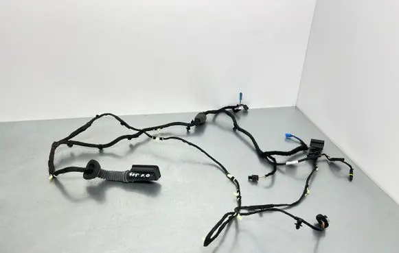 BMW X5 G05 Front door wiring loom 8779803