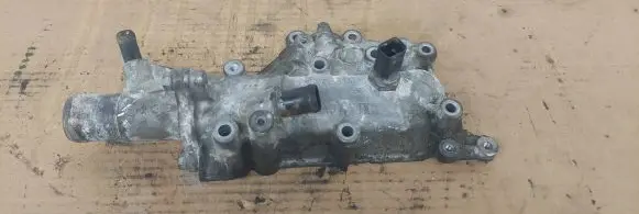 Thermostat/thermostat housing