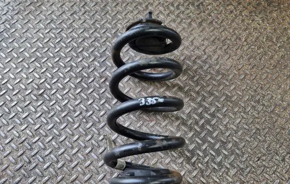 Rear coil spring