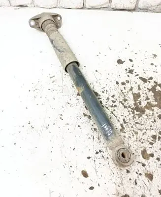 Volkswagen Tiguan Rear shock absorber/damper