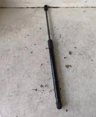 Tailgate strut