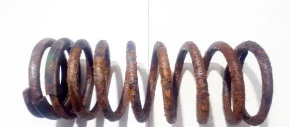 Land Rover Discovery Front coil spring